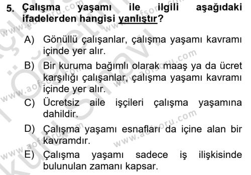 İş Yaşaminda Risk Etmenleri Ve Yönetimsel Faktörler Dersi 2020 - 2021 Yılı Yaz Okulu Sınavı 5. Soru