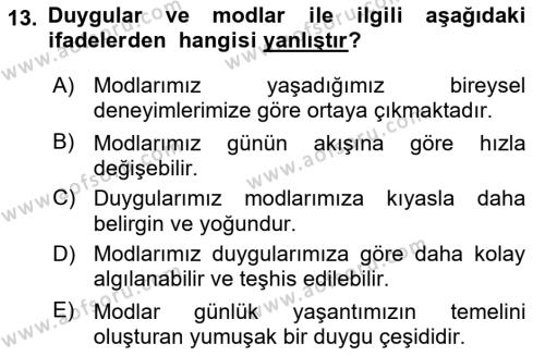 İş Yaşaminda Risk Etmenleri Ve Yönetimsel Faktörler Dersi 2021 - 2022 Yılı (Vize) Ara Sınavı 13. Soru