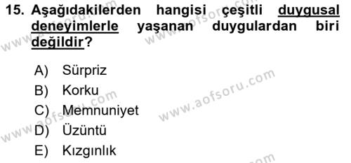 İş Yaşaminda Risk Etmenleri Ve Yönetimsel Faktörler Dersi 2021 - 2022 Yılı (Vize) Ara Sınavı 15. Soru