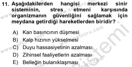 İş Yaşaminda Risk Etmenleri Ve Yönetimsel Faktörler Dersi 2021 - 2022 Yılı (Final) Dönem Sonu Sınavı 11. Soru