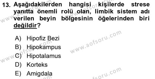 İş Yaşaminda Risk Etmenleri Ve Yönetimsel Faktörler Dersi 2021 - 2022 Yılı (Final) Dönem Sonu Sınavı 13. Soru