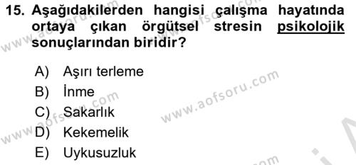 İş Yaşaminda Risk Etmenleri Ve Yönetimsel Faktörler Dersi 2021 - 2022 Yılı (Final) Dönem Sonu Sınavı 15. Soru