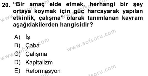 İş Yaşaminda Risk Etmenleri Ve Yönetimsel Faktörler Dersi 2021 - 2022 Yılı Yaz Okulu Sınavı 20. Soru