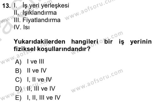 İş Yaşaminda Risk Etmenleri Ve Yönetimsel Faktörler Dersi 2022 - 2023 Yılı (Vize) Ara Sınavı 13. Soru