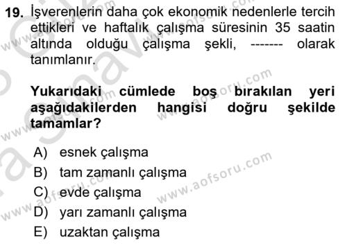 İş Yaşaminda Risk Etmenleri Ve Yönetimsel Faktörler Dersi 2022 - 2023 Yılı (Vize) Ara Sınavı 19. Soru