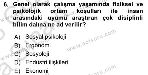 İş Yaşaminda Risk Etmenleri Ve Yönetimsel Faktörler Dersi 2022 - 2023 Yılı (Vize) Ara Sınavı 6. Soru