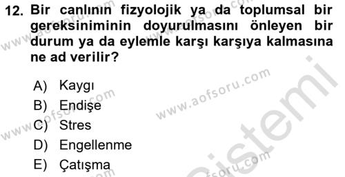 İş Yaşaminda Risk Etmenleri Ve Yönetimsel Faktörler Dersi 2022 - 2023 Yılı (Final) Dönem Sonu Sınavı 12. Soru