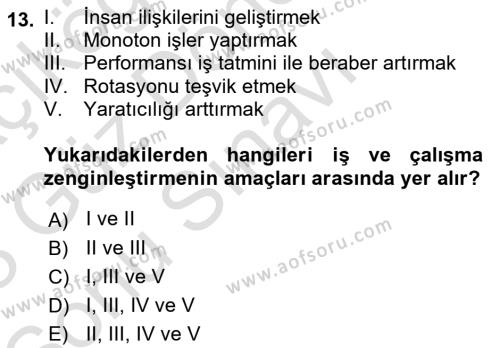 İş Yaşaminda Risk Etmenleri Ve Yönetimsel Faktörler Dersi 2022 - 2023 Yılı (Final) Dönem Sonu Sınavı 13. Soru