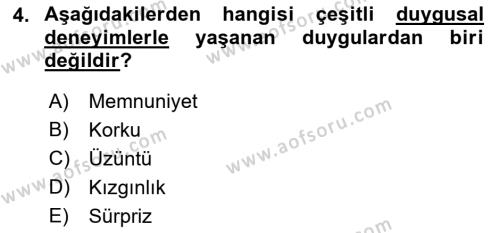 İş Yaşaminda Risk Etmenleri Ve Yönetimsel Faktörler Dersi 2022 - 2023 Yılı (Final) Dönem Sonu Sınavı 4. Soru