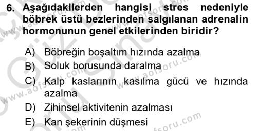 İş Yaşaminda Risk Etmenleri Ve Yönetimsel Faktörler Dersi 2022 - 2023 Yılı (Final) Dönem Sonu Sınavı 6. Soru