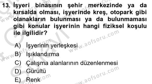 İş Yaşaminda Risk Etmenleri Ve Yönetimsel Faktörler Dersi 2023 - 2024 Yılı (Vize) Ara Sınavı 13. Soru