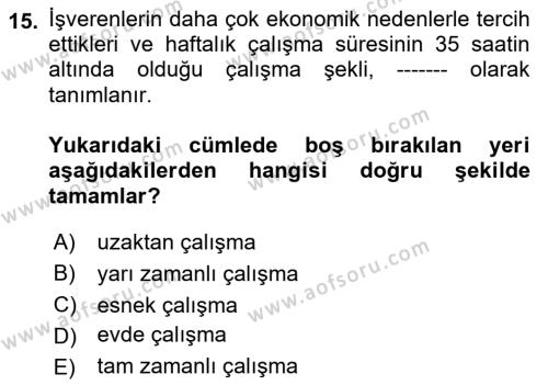 İş Yaşaminda Risk Etmenleri Ve Yönetimsel Faktörler Dersi 2023 - 2024 Yılı (Vize) Ara Sınavı 15. Soru