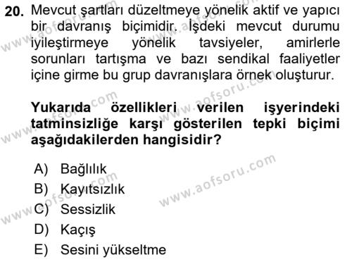 İş Yaşaminda Risk Etmenleri Ve Yönetimsel Faktörler Dersi 2023 - 2024 Yılı (Vize) Ara Sınavı 20. Soru