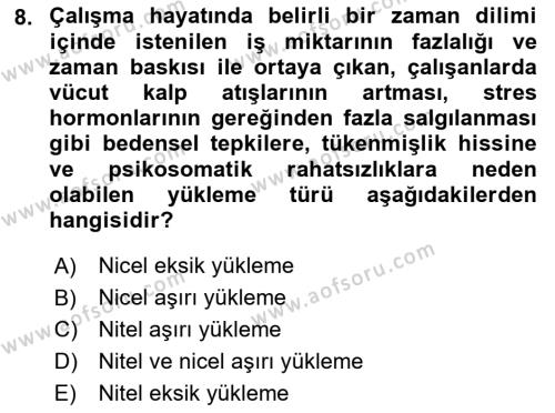 İş Yaşaminda Risk Etmenleri Ve Yönetimsel Faktörler Dersi 2023 - 2024 Yılı (Vize) Ara Sınavı 8. Soru