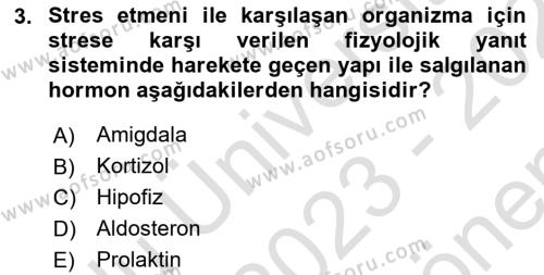 İş Yaşaminda Risk Etmenleri Ve Yönetimsel Faktörler Dersi 2023 - 2024 Yılı (Final) Dönem Sonu Sınavı 3. Soru