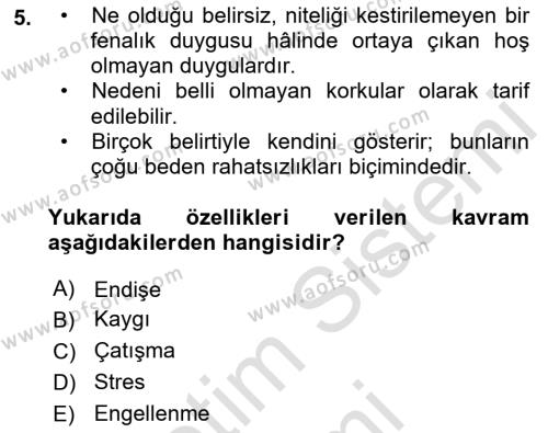 İş Yaşaminda Risk Etmenleri Ve Yönetimsel Faktörler Dersi 2023 - 2024 Yılı (Final) Dönem Sonu Sınavı 5. Soru