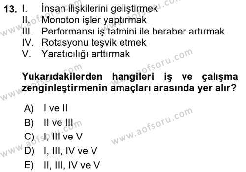 İş Yaşaminda Risk Etmenleri Ve Yönetimsel Faktörler Dersi 2023 - 2024 Yılı Yaz Okulu Sınavı 13. Soru