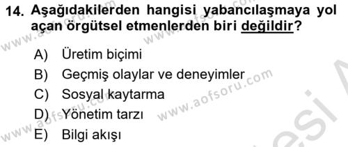 İş Yaşaminda Risk Etmenleri Ve Yönetimsel Faktörler Dersi 2023 - 2024 Yılı Yaz Okulu Sınavı 14. Soru