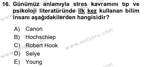 İş Yaşaminda Risk Etmenleri Ve Yönetimsel Faktörler Dersi 2023 - 2024 Yılı Yaz Okulu Sınavı 16. Soru