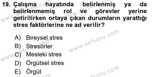 İş Yaşaminda Risk Etmenleri Ve Yönetimsel Faktörler Dersi 2023 - 2024 Yılı Yaz Okulu Sınavı 19. Soru