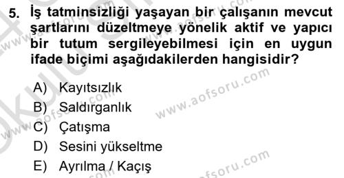 İş Yaşaminda Risk Etmenleri Ve Yönetimsel Faktörler Dersi 2023 - 2024 Yılı Yaz Okulu Sınavı 5. Soru