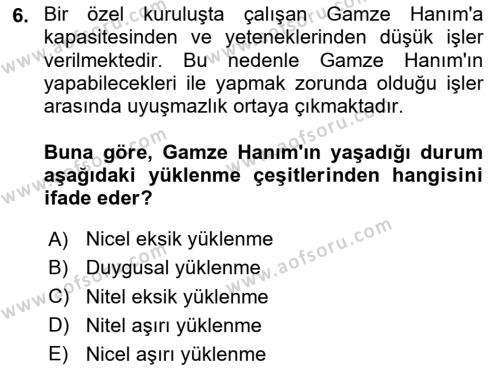 İş Yaşaminda Risk Etmenleri Ve Yönetimsel Faktörler Dersi 2023 - 2024 Yılı Yaz Okulu Sınavı 6. Soru