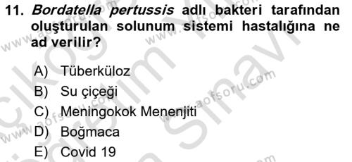 Kimya ve Biyoloji Sektörlerinde İş Sağlığı ve Güvenliği Dersi 2021 - 2022 Yılı (Vize) Ara Sınavı 11. Soru