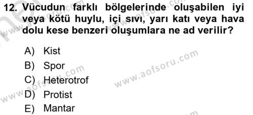 Kimya ve Biyoloji Sektörlerinde İş Sağlığı ve Güvenliği Dersi 2021 - 2022 Yılı (Vize) Ara Sınavı 12. Soru