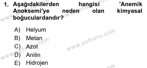 Kimya ve Biyoloji Sektörlerinde İş Sağlığı ve Güvenliği Dersi 2021 - 2022 Yılı Yaz Okulu Sınavı 1. Soru