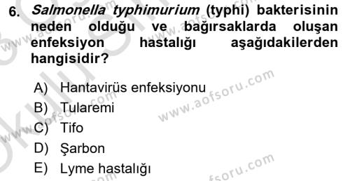 Kimya ve Biyoloji Sektörlerinde İş Sağlığı ve Güvenliği Dersi 2022 - 2023 Yılı Yaz Okulu Sınavı 6. Soru