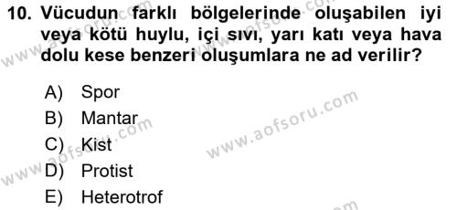 Kimya ve Biyoloji Sektörlerinde İş Sağlığı ve Güvenliği Dersi 2023 - 2024 Yılı (Vize) Ara Sınavı 10. Soru