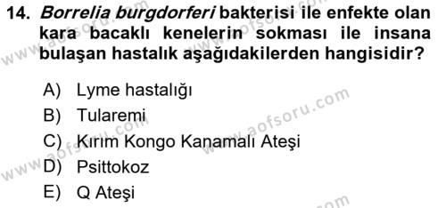 Kimya ve Biyoloji Sektörlerinde İş Sağlığı ve Güvenliği Dersi 2023 - 2024 Yılı (Vize) Ara Sınavı 14. Soru