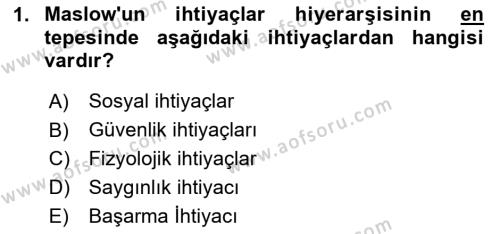 İşletme İlkeleri Dersi 2024 - 2025 Yılı (Vize) Ara Sınavı 1. Soru