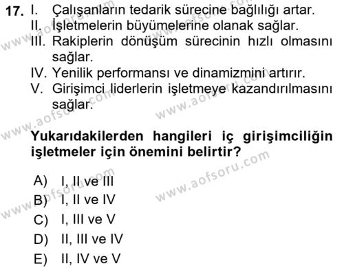 İşletme Fonksiyonları Dersi 2022 - 2023 Yılı Yaz Okulu Sınavı 17. Soru