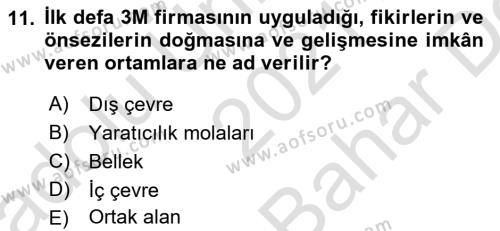 Girişimcilik Dersi 2021 - 2022 Yılı (Vize) Ara Sınavı 11. Soru