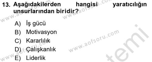 Girişimcilik Dersi 2021 - 2022 Yılı (Vize) Ara Sınavı 13. Soru