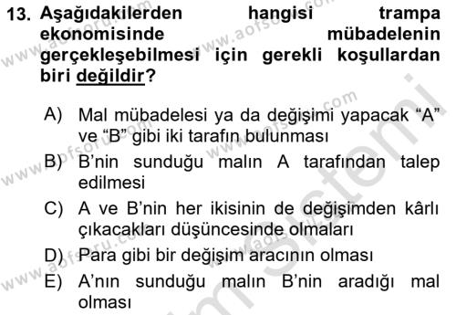 Ekonomik Analiz Dersi 2021 - 2022 Yılı Yaz Okulu Sınavı 13. Soru