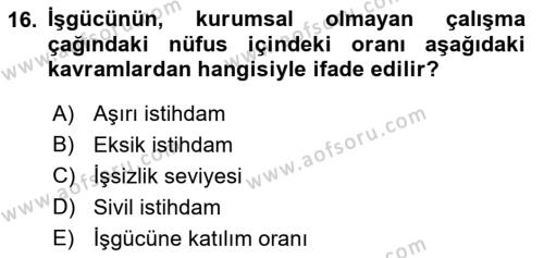 Ekonomik Analiz Dersi 2021 - 2022 Yılı Yaz Okulu Sınavı 16. Soru