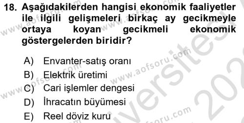 Ekonomik Analiz Dersi 2021 - 2022 Yılı Yaz Okulu Sınavı 18. Soru