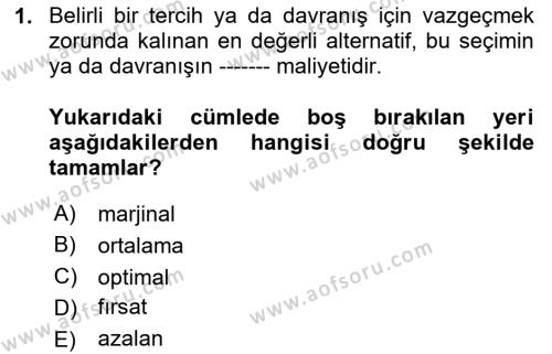 Ekonomik Analiz Dersi 2023 - 2024 Yılı (Final) Dönem Sonu Sınavı 1. Soru