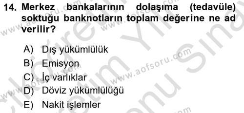 Ekonomik Analiz Dersi 2023 - 2024 Yılı (Final) Dönem Sonu Sınavı 14. Soru