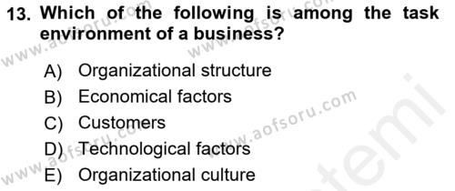 Business Management Dersi 2018 - 2019 Yılı (Vize) Ara Sınavı 13. Soru