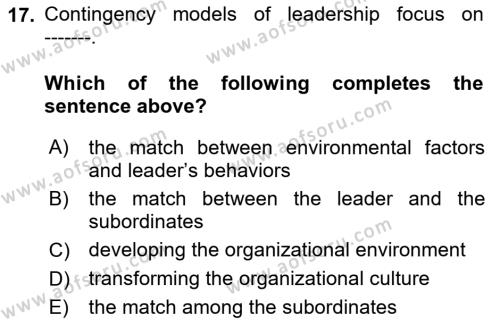 Business Management Dersi 2018 - 2019 Yılı (Final) Dönem Sonu Sınavı 17. Soru