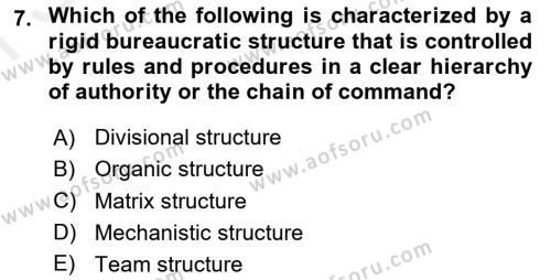 Business Management Dersi 2018 - 2019 Yılı (Final) Dönem Sonu Sınavı 7. Soru