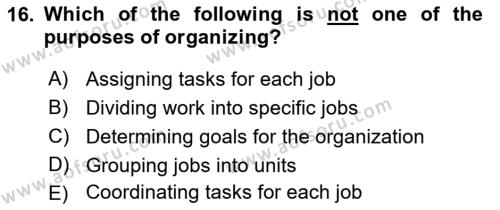 Business Management Dersi 2018 - 2019 Yılı Yaz Okulu Sınavı 16. Soru