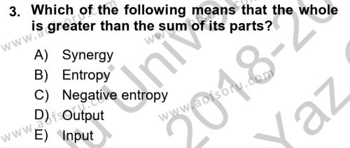 Business Management Dersi 2018 - 2019 Yılı Yaz Okulu Sınavı 3. Soru