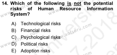 Business Information Systems Dersi 2017 - 2018 Yılı (Final) Dönem Sonu Sınavı 14. Soru