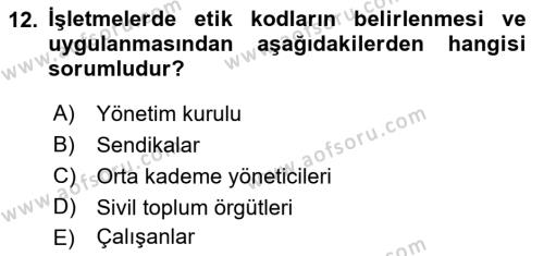 İşletmelerde Sosyal Sorumluluk Ve Etik Dersi 2022 - 2023 Yılı (Final) Dönem Sonu Sınavı 12. Soru