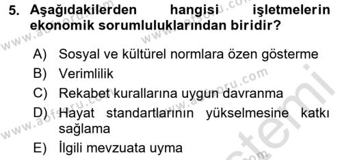 İşletmelerde Sosyal Sorumluluk Ve Etik Dersi 2024 - 2025 Yılı (Vize) Ara Sınavı 5. Soru