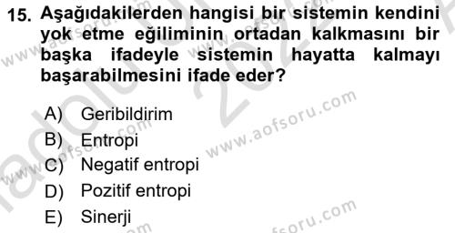 İşletme Yönetimi Dersi 2022 - 2023 Yılı (Vize) Ara Sınavı 15. Soru